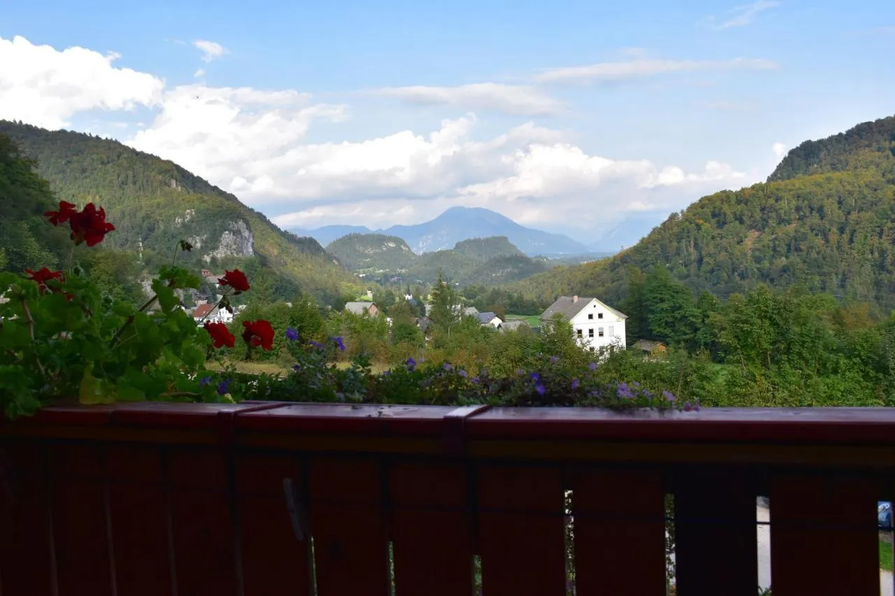 Razgled z lesenega balkona na dolino in gore, rdeče pelargonije na ograji