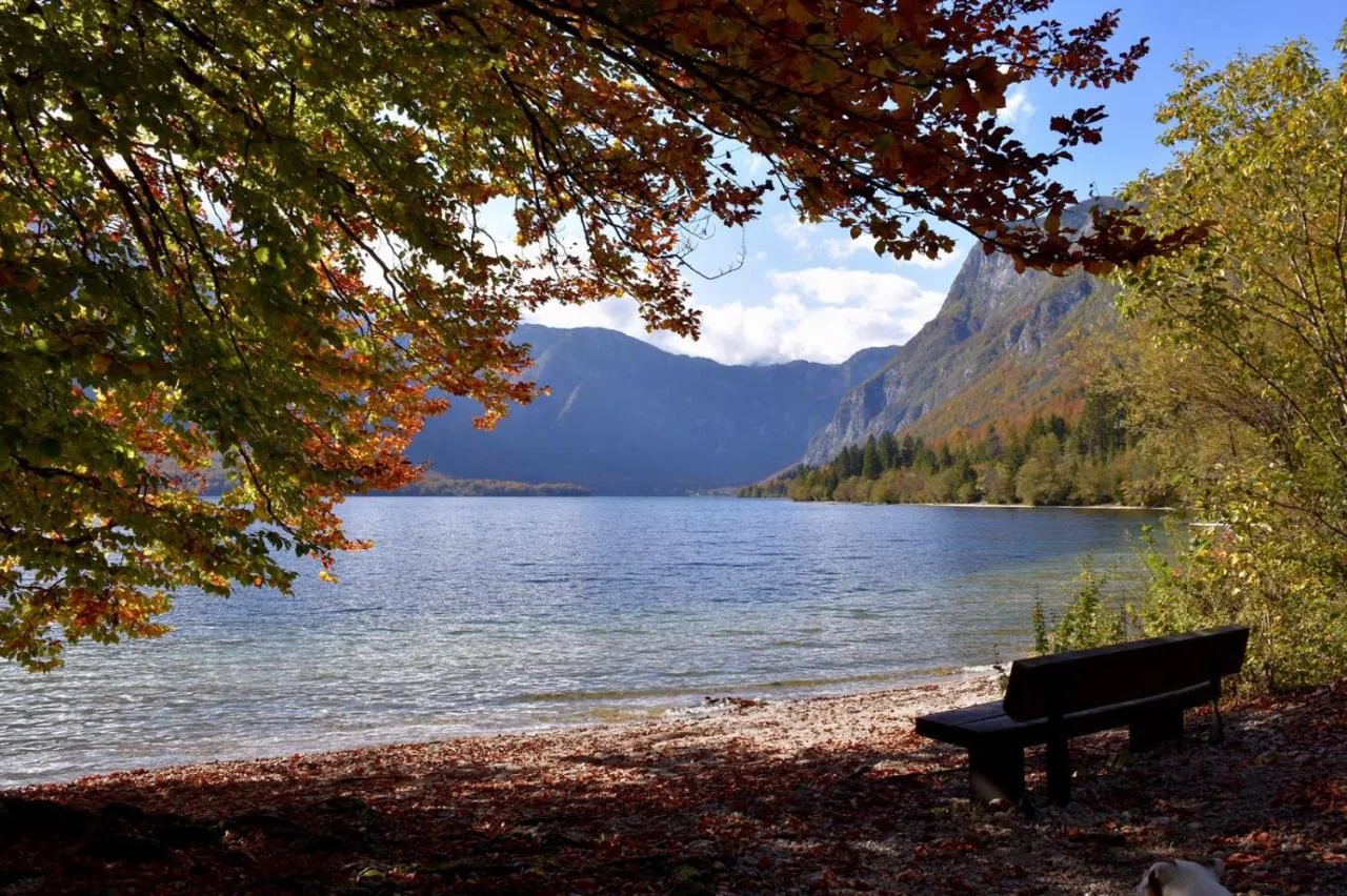 Bohinjsko jezero s klopjo na obali pod jesenskim drevjem