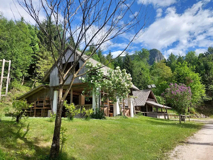 Lesena uta in travnik na našem prostoru za piknik ob Savi Bohinjki